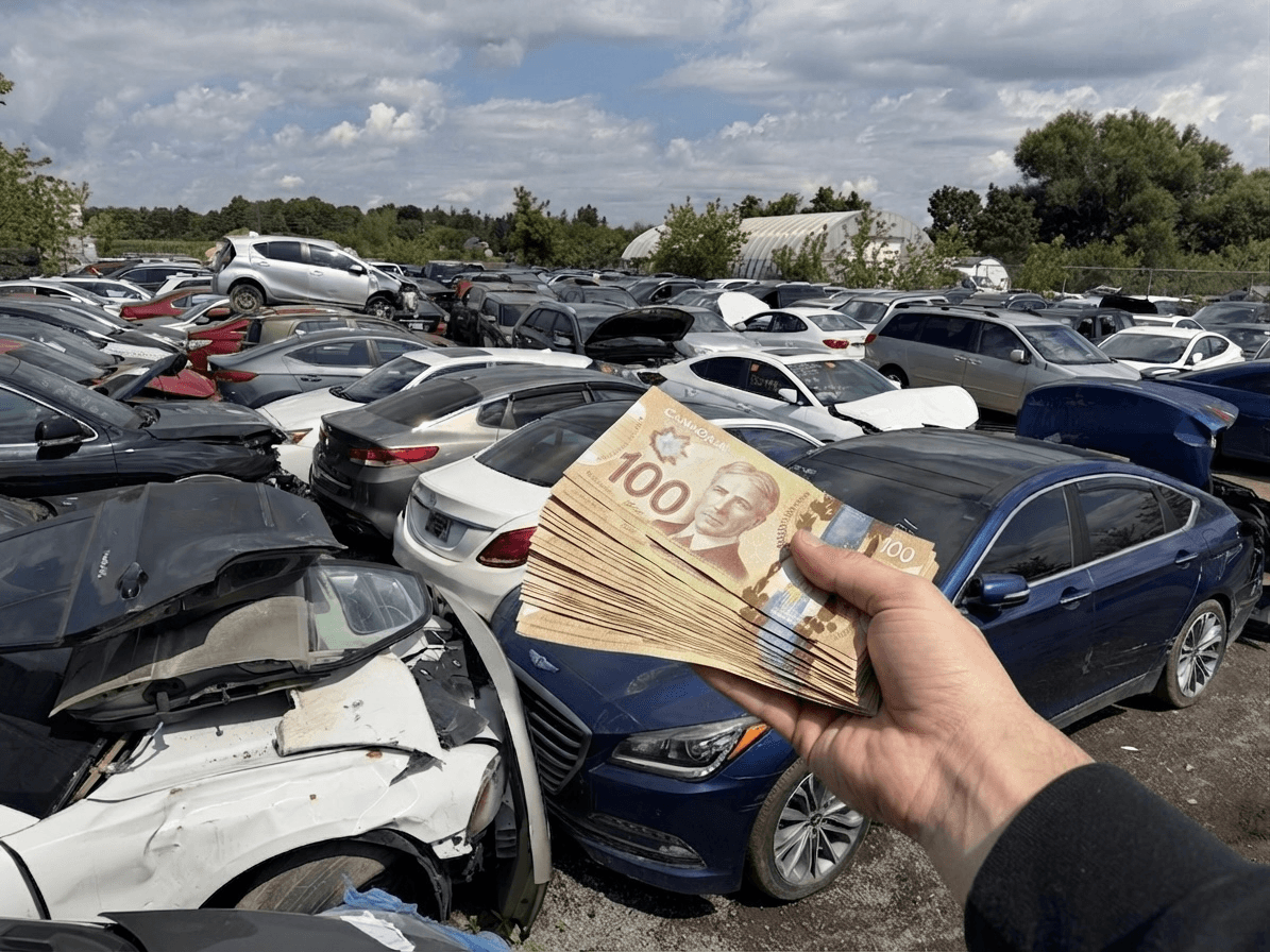 Cash in hand at a vehicle recycling yard